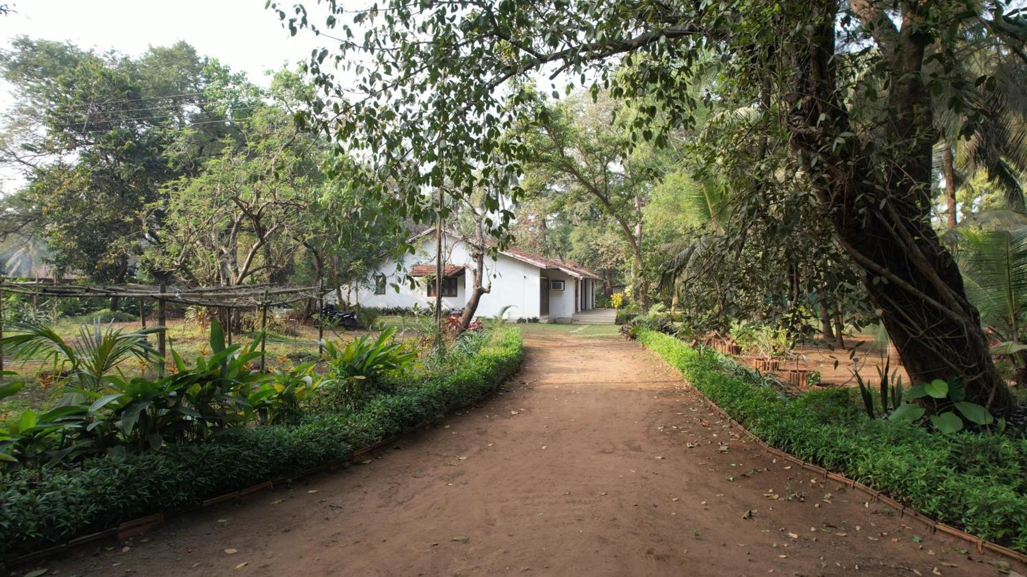 Banyan House - Luxurious 4 Bedroom Villa On One Acre, Near The Beach Nagaon  Kültér fotó
