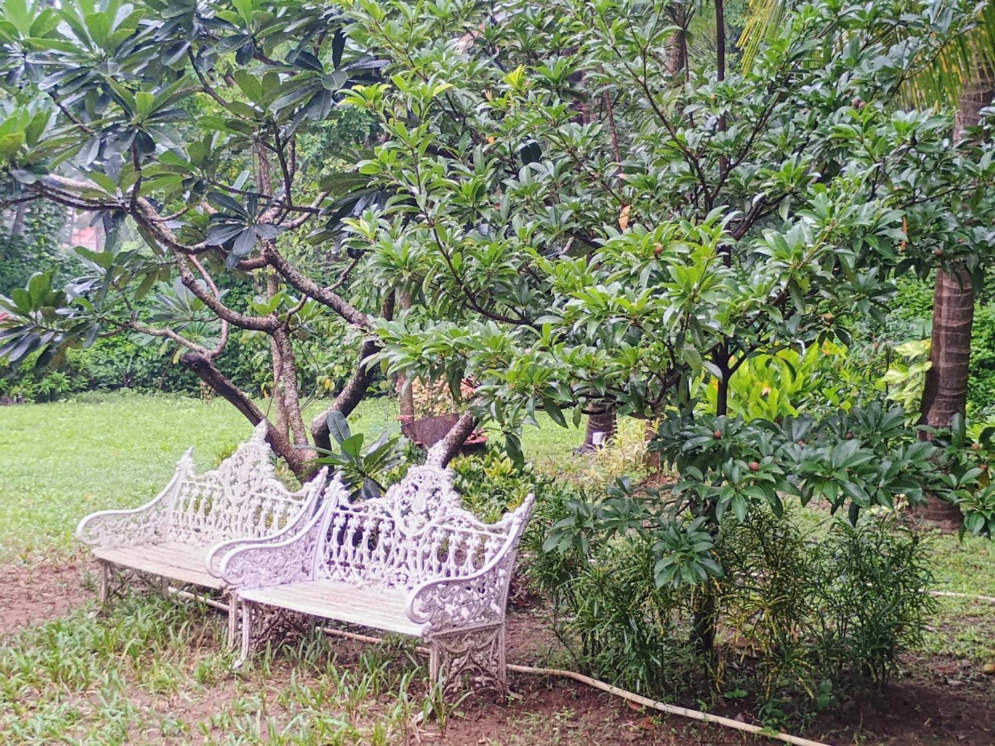 Banyan House - Luxurious 4 Bedroom Villa On One Acre, Near The Beach Nagaon  Kültér fotó